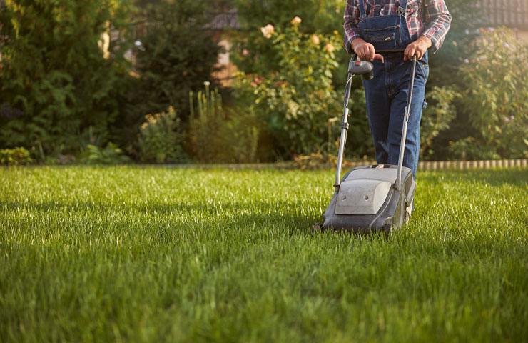 Lawn Maintenance